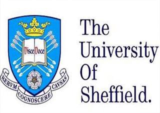 英国谢菲尔德大学相当于中国国内什么大学？