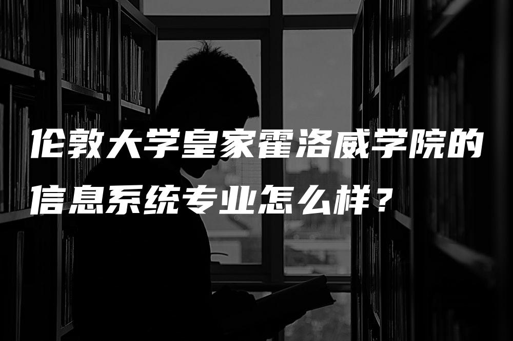 伦敦大学皇家霍洛威学院的信息系统专业怎么样？