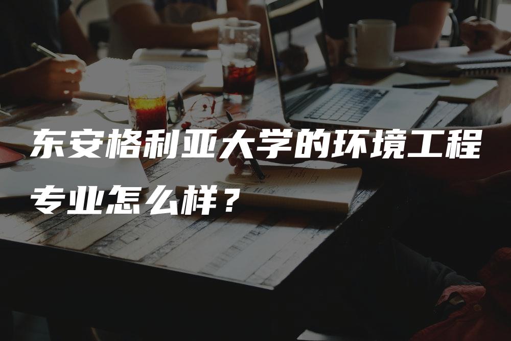 东安格利亚大学的环境工程专业怎么样？