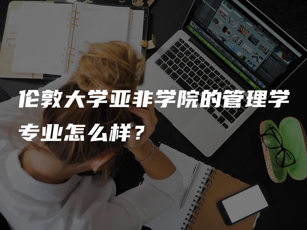 伦敦大学亚非学院的管理学专业怎么样？