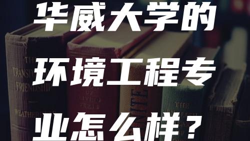 华威大学的环境工程专业怎么样？