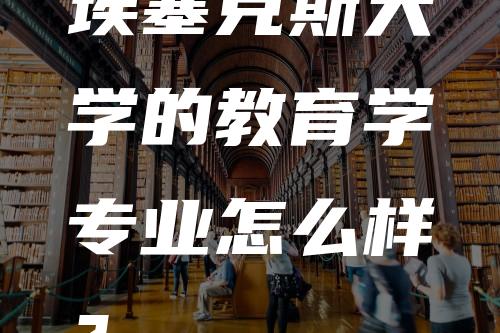 埃塞克斯大学的教育学专业怎么样？