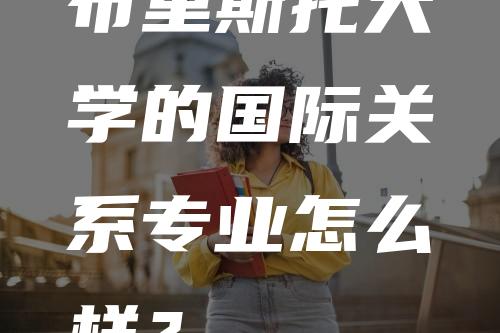 布里斯托大学的国际关系专业怎么样？