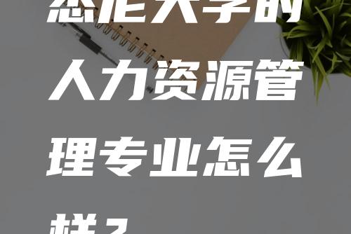 悉尼大学的人力资源管理专业怎么样？