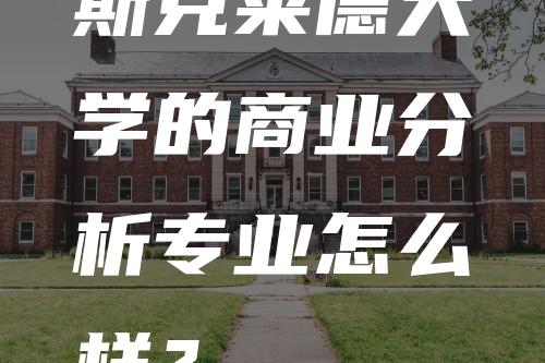 斯克莱德大学的商业分析专业怎么样？