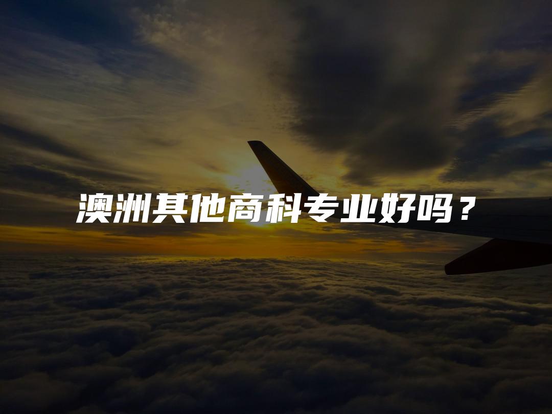 澳洲其他商科专业好吗？