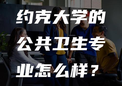 约克大学的公共卫生专业怎么样？