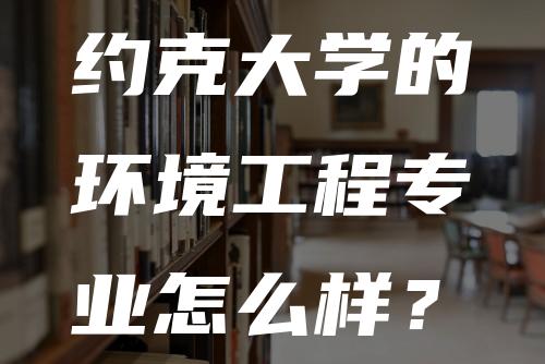 约克大学的环境工程专业怎么样？