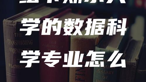 纽卡斯尔大学的数据科学专业怎么样？