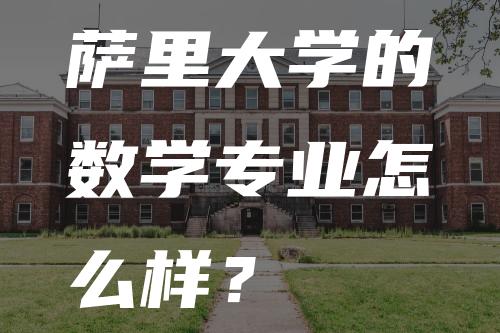 萨里大学的数学专业怎么样？