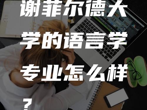 谢菲尔德大学的语言学专业怎么样？