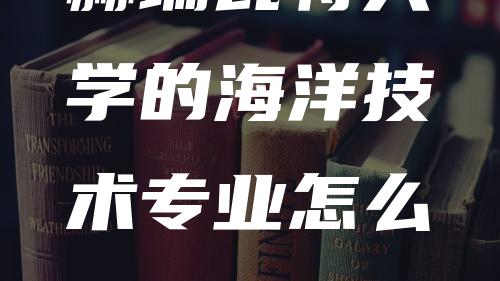 赫瑞瓦特大学的海洋技术专业怎么样？