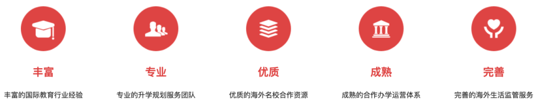 【23届毕业生回访】郑同学：即使在他乡，英思德仍然是我的好老师！插图7
