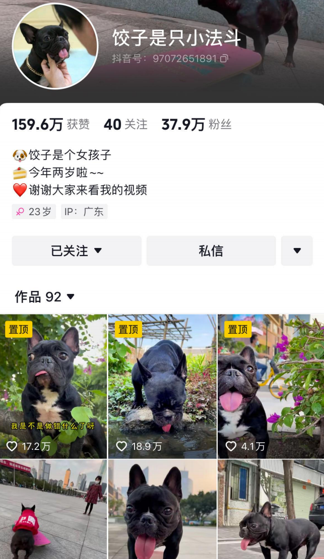 插图12