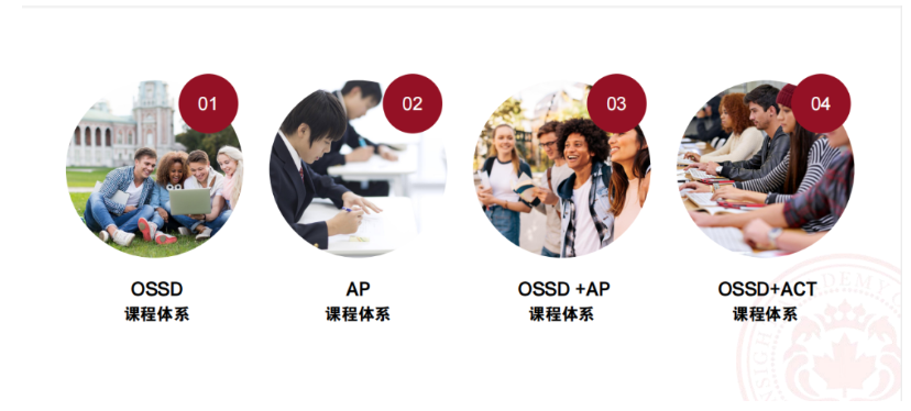 【招生简章】2025年英思德全日制学历课程招生启动！插图2