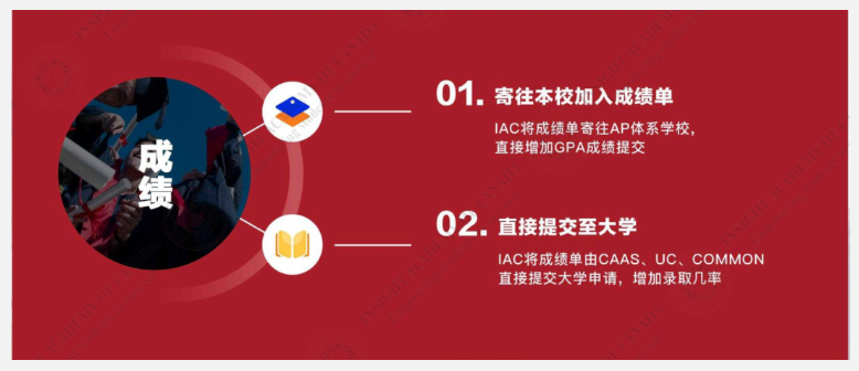 【AP大考捷报】5分刷屏，最高6门5分，再创AP成绩新高！插图13