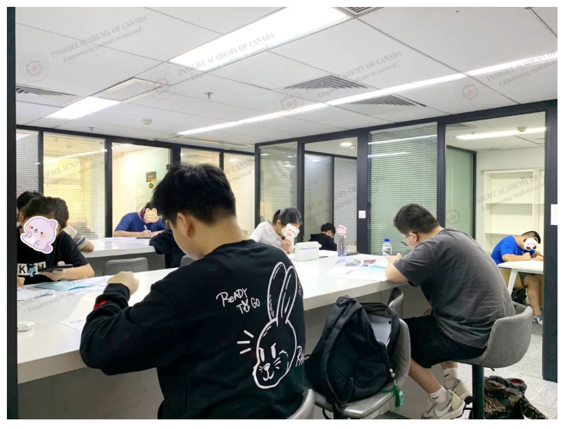 【AP大考捷报】5分刷屏，最高6门5分，再创AP成绩新高！插图
